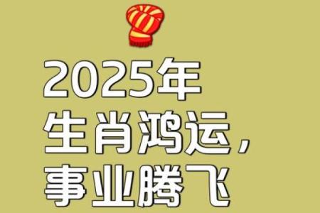 2025年属猪人运势大爆发财运事业双丰收
