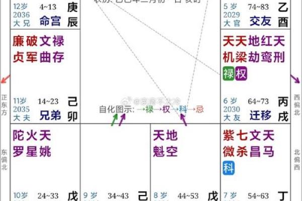 2025年4月22日子时女命紫微斗数全解盘 2025年4月22日子时女命紫微斗数全解盘