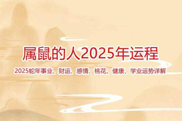 48年的鼠2025年健康运势 48年的鼠2025年健康运势