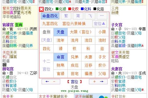 2025年4月9日寅时女命紫微斗数全解盘 2025年4月9日寅时女命紫微斗数全解盘