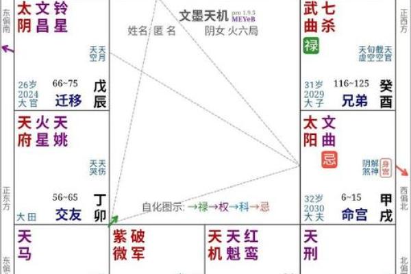 2025年4月26日午时男命紫微斗数全解盘