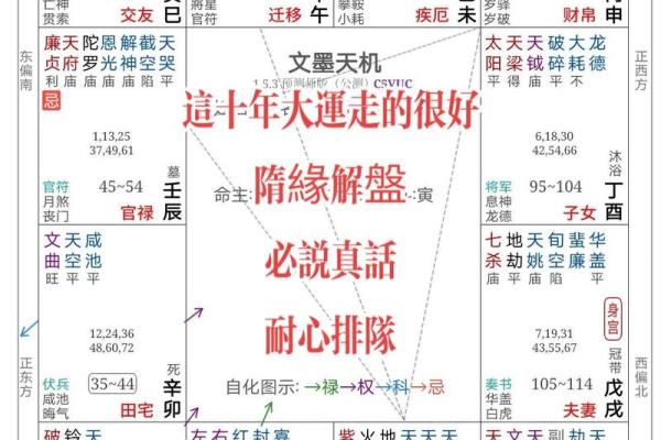 2025年4月6日午时女命紫微斗数全解盘