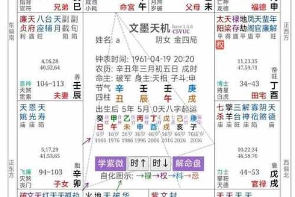 2025年4月9日戌时女命紫微斗数全解盘
