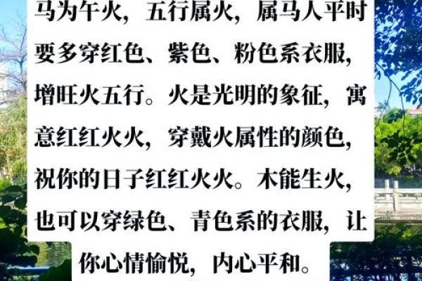 1978年11月26日属马人命理解析五行运势与性格揭秘 1978年11月26日属马人命理解析五行运势与性格揭秘