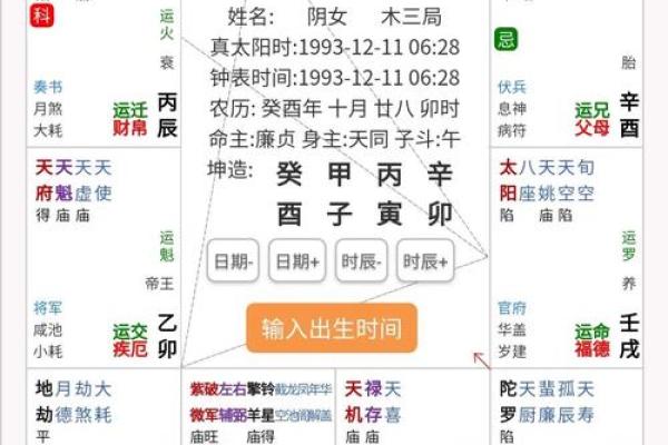 2025年4月19日卯时女命紫微斗数全解盘