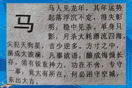 属马2025年运势及运程每月运程_2025属马运势及运程每月详解全年运程完整版