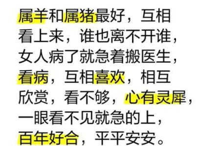 属猪和属猪的婚姻配对适合做夫妻吗