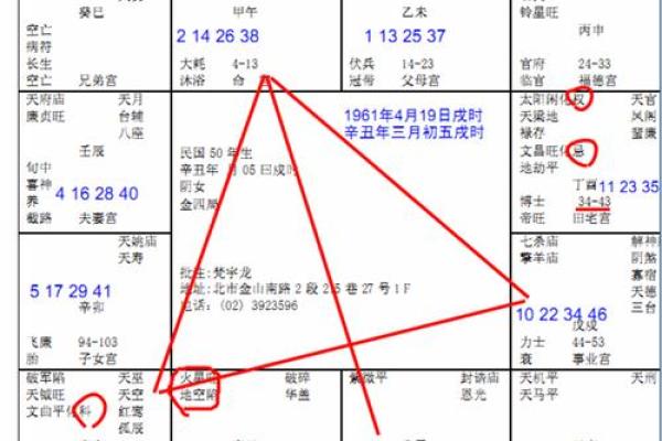 2025年4月28日戌时女命紫微斗数全解盘