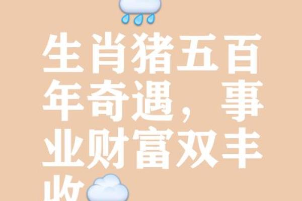 2025属猪1995人的全年运势_2025年属猪人的全年运势