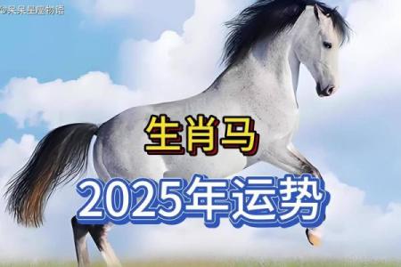 属马多大年龄2025_2025年属马人多大了年龄对照表与运势解析
