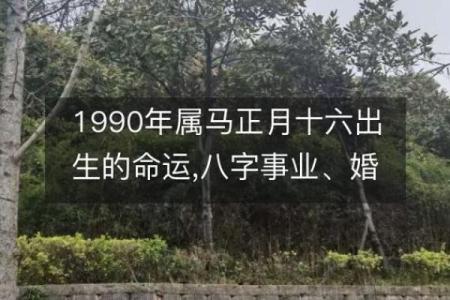 1990年属马人运势 1990年属马今天的运势