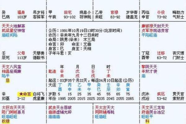 2025年4月13日酉时男命紫微斗数全解盘