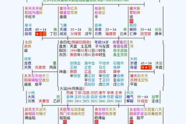 2025年4月29日寅时男命紫微斗数全解盘