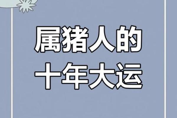 83年属猪男2025年运势_2025年属猪男运势解析83年出生者运程全揭秘