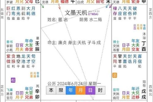 2025年4月1日寅时男命紫微斗数全解盘
