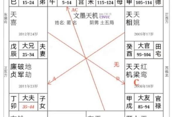 2025年4月5日亥时男命紫微斗数全解盘
