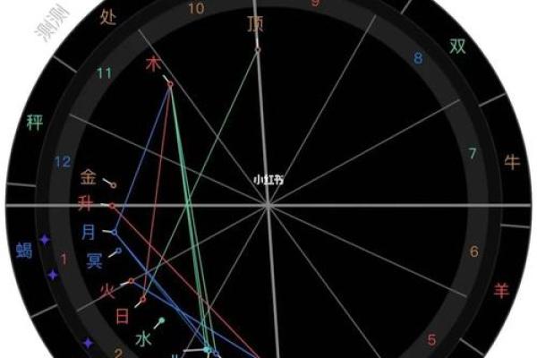 2025年4月8日丑时男命紫微斗数全解盘