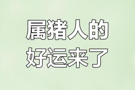 2025年属猪女性三喜临门_属猪人2025转大运时间