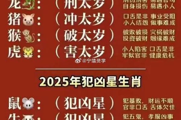2025猪年运势及运程 2025猪年运势及运程详解 2025猪年运势及运程 2025猪年运势及运程详解