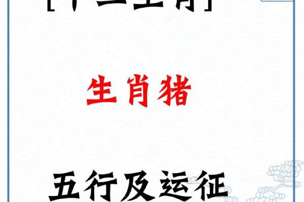 2025年属猪的人运气怎么样 2025年属猪人的全年运势详解 2025年属猪的人运气怎么样 2025年属猪人的全年运势详解
