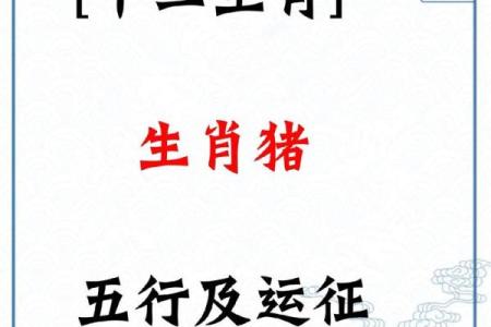 2025年属猪的人运气怎么样 2025年属猪人的全年运势详解