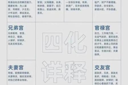 2025年4月4日辰时女命紫微斗数全解盘