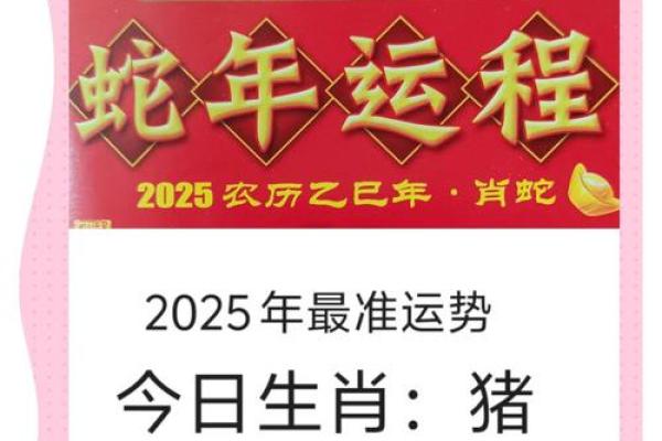2025属猪人全年每月运势详解及运势提升指南 2025属猪人全年每月运势详解及运势提升指南