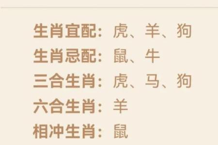 02年属马最佳婚配属相 2002女马配什么生肖最好婚姻