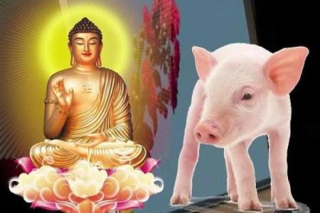 1971年属猪男2025年每月运程详解运势走向与吉凶预测