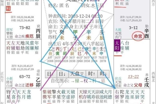 2025年4月6日午时男命紫微斗数全解盘 2025年4月6日午时男命紫微斗数全解盘