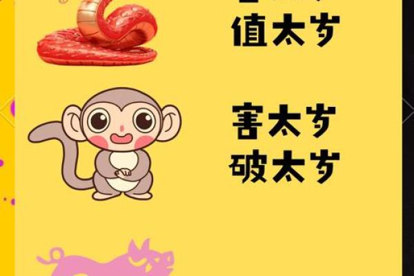 2025年属猪犯太岁解析运势影响与化解方法 2025年属猪犯太岁解析运势影响与化解方法