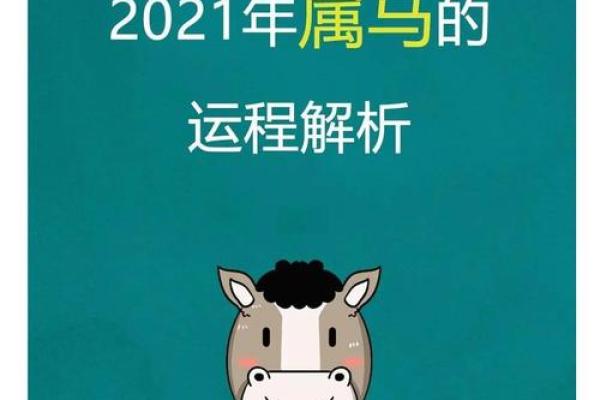 2021年属马的多大_2021年属马人年龄解析不同月份出生岁数对照表 2021年属马的多大_2021年属马人年龄解析不同月份出生岁数对照表