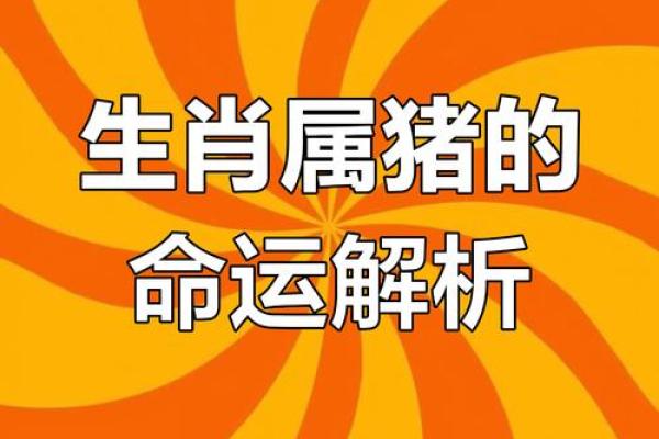 1971年属猪2025年运势详解全年运程大揭秘 1971年属猪2025年运势详解全年运程大揭秘