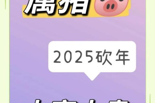 2025年属猪人年龄揭秘你几岁了 2025年属猪人年龄揭秘你几岁了