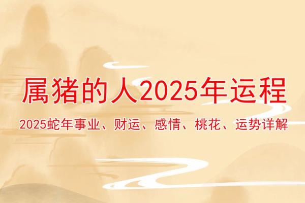 2025年属猪男运势_属猪运势2025年运势详解1983出生 2025年属猪男运势_属猪运势2025年运势详解1983出生