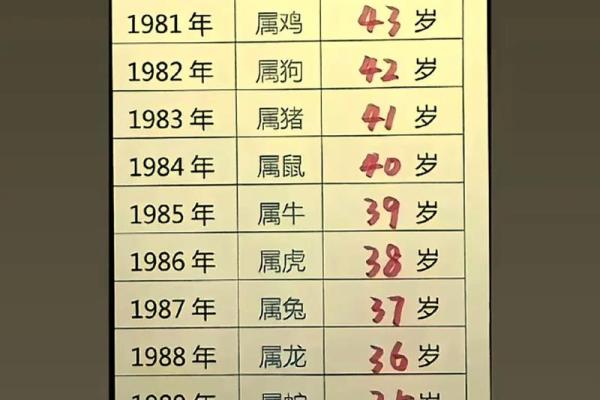83年属猪人42岁的运势怎么样 83年属猪人42岁运势解析事业财运健康全揭秘 83年属猪人42岁的运势怎么样 83年属猪人42岁运势解析事业财运健康全揭秘
