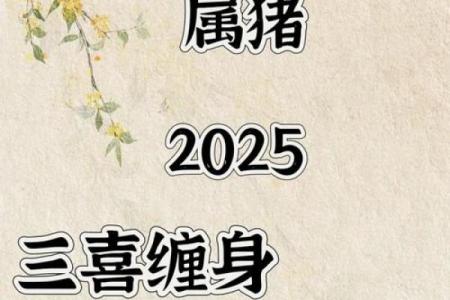 2025年属猪男运势_属猪运势2025年运势详解1983出生