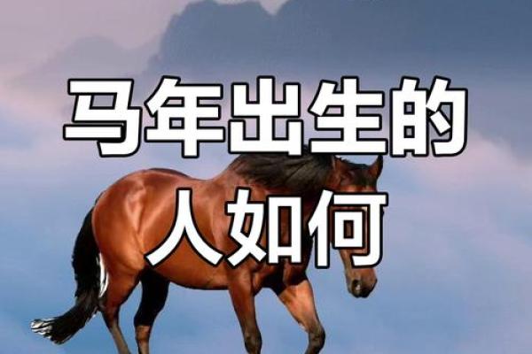 属马2002年出生男孩命运如何_2002年属马男孩命运解析运势性格与事业展望 属马2002年出生男孩命运如何_2002年属马男孩命运解析运势性格与事业展望