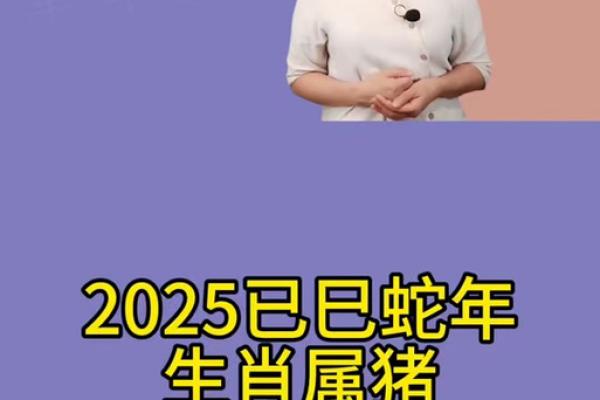 1995属猪2025运势及运程详解_1995属猪2025年运势详解运程全解析 1995属猪2025运势及运程详解_1995属猪2025年运势详解运程全解析