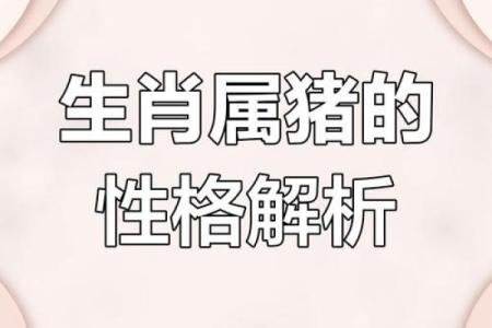 2007年属猪女孩一生命运_2007属猪女人一生的命运婚姻