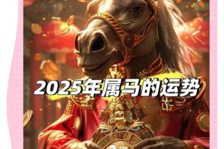 属马的人2025运势_2025年属马人运程