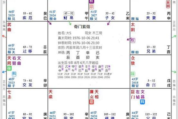2025年4月4日戌时女命紫微斗数全解盘