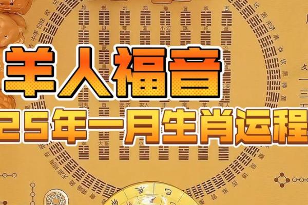 79年属羊的2025年运势和财运怎么样 1979属羊46岁以后运气