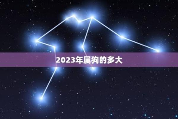 2023属狗要小心一个人 2023属狗要小心一个人吗