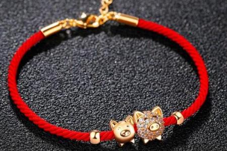 属猪2025年佩戴什么_属猪2025年佩戴什么红绳好