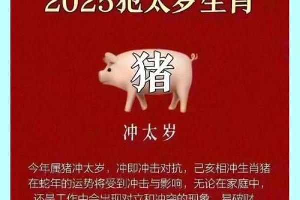 2025年属猪的幸运颜色和饰品_2025年属猪幸运颜色与饰品指南提升运势必备 2025年属猪的幸运颜色和饰品_2025年属猪幸运颜色与饰品指南提升运势必备