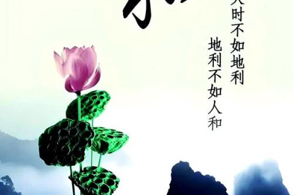 巧妙利用风水，提升您婚姻幸福