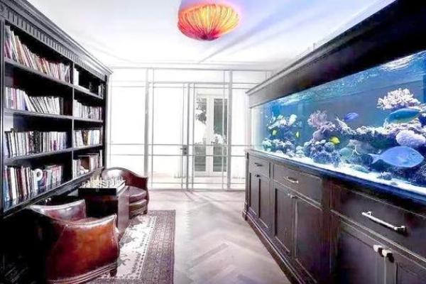 家里养鱼也是有一些风水禁忌的