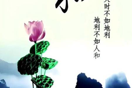 巧妙利用风水，提升您婚姻幸福