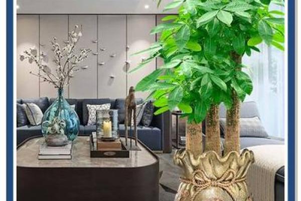 家里装修放什么植物，对风水好